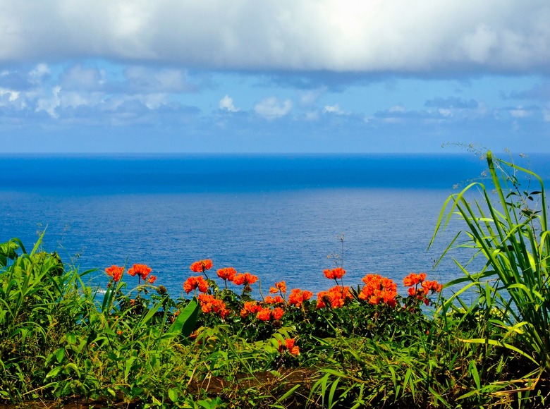 Gorgeous Hawaiian Spots That Haven't Been Overrun by Tourists